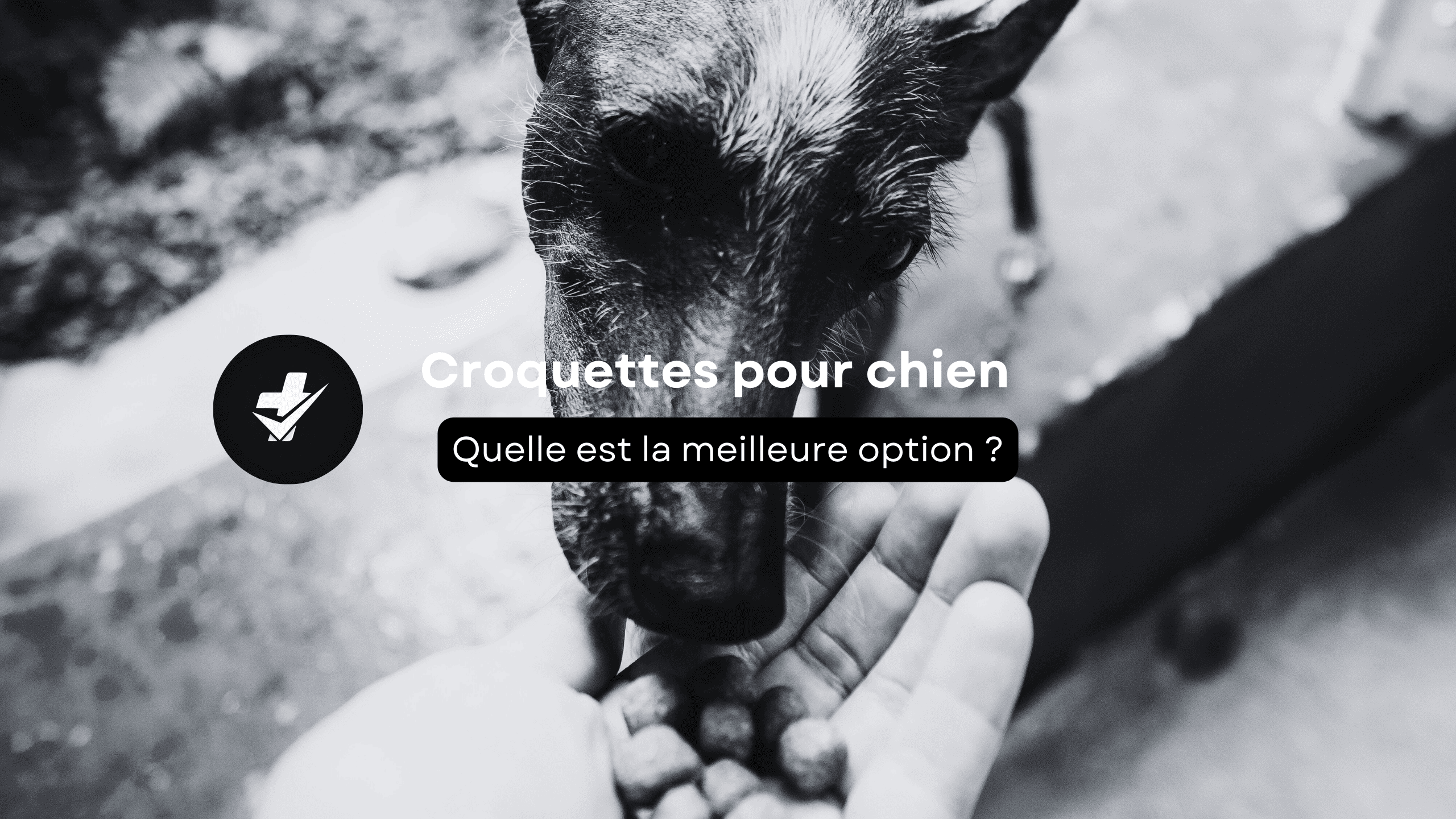 Choisir les bonnes croquettes pour son chien